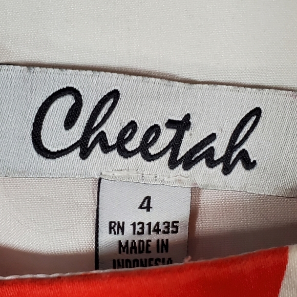 Cheetah Geometric Dress - Picture 3 of 3